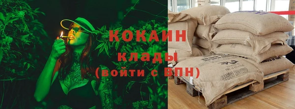 индика Алексеевка
