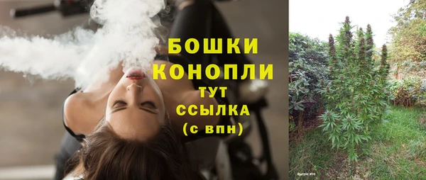 твердый Армянск