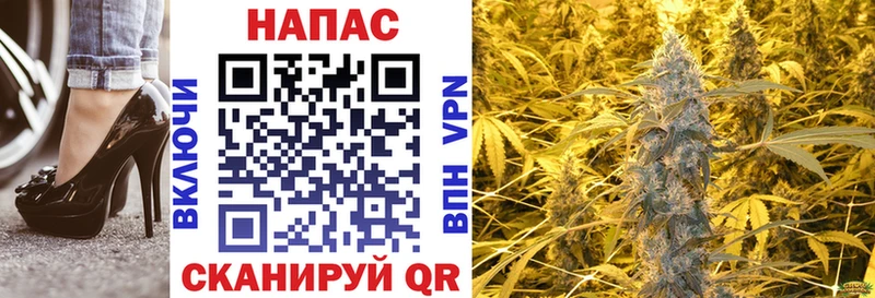 Конопля White Widow как найти закладки Обнинск